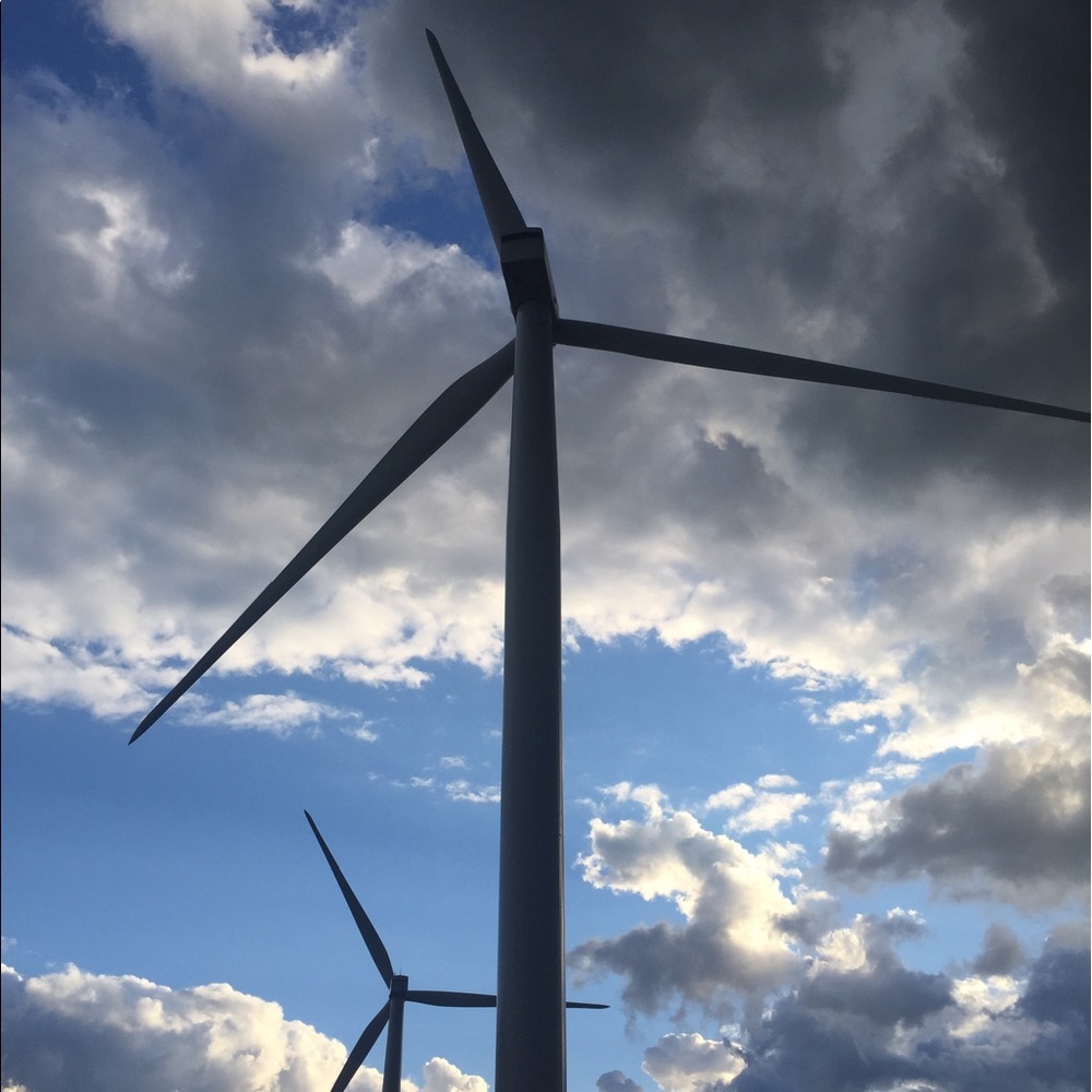 Meet your Posher, Katrina