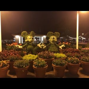 Meet your Posher, Sami