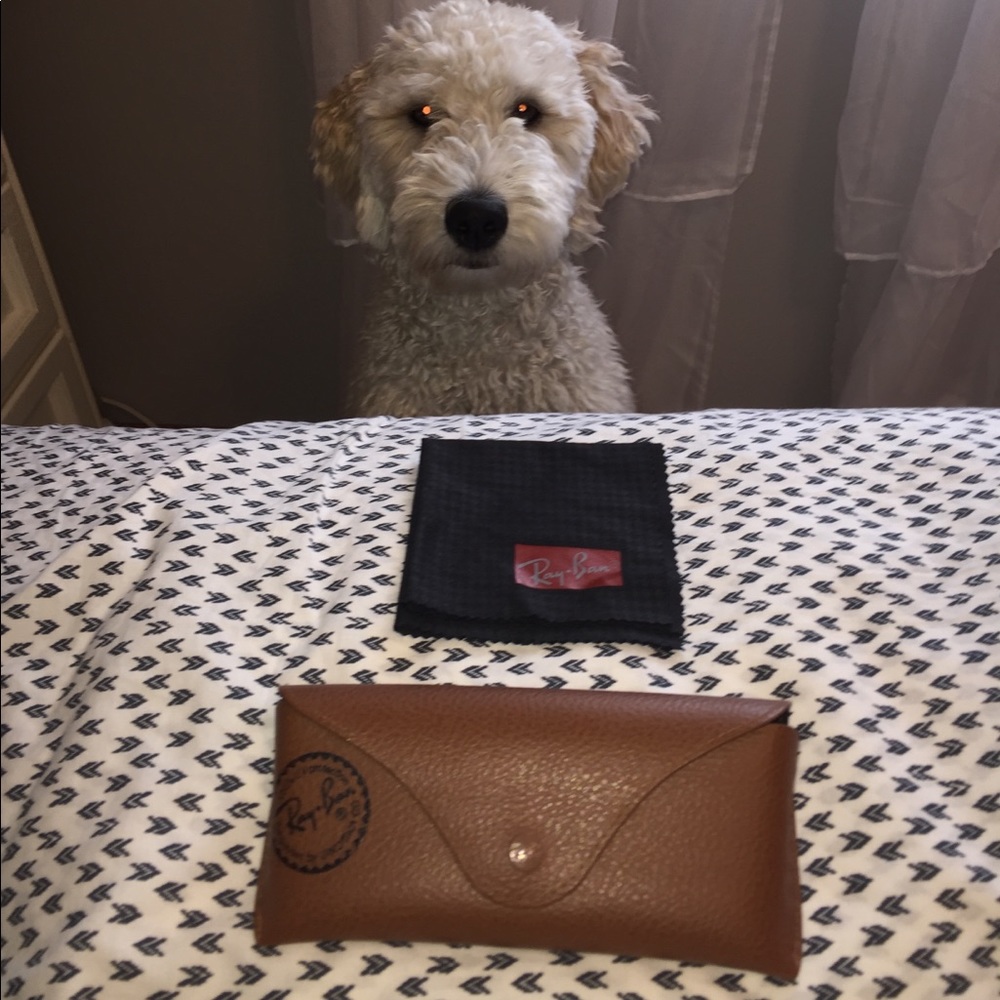 Ray Ban leather case and cleaning cloth ONLY