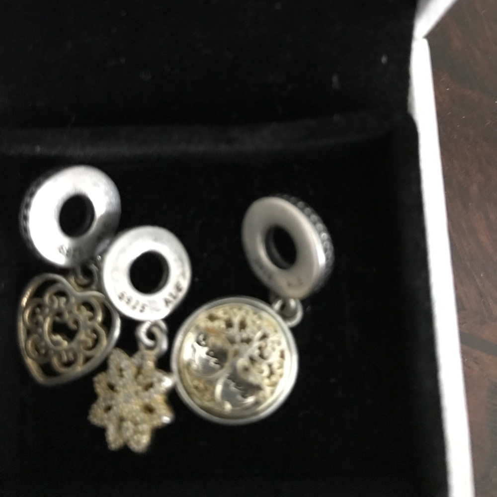 Pandora Charms