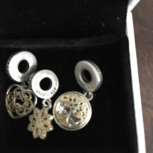 Pandora Charms
