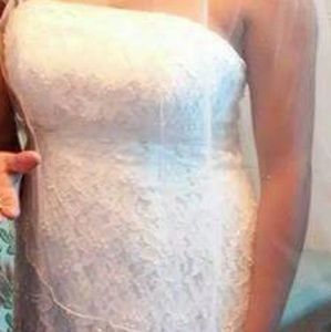 David's Bridal Gown