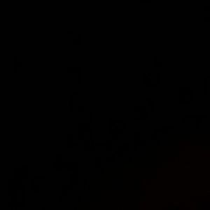 Meet your Posher, Oscar