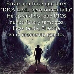 Meet your Posher, Manuel