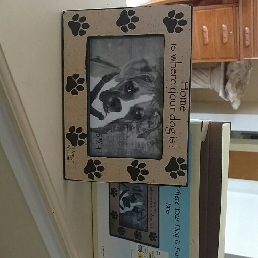 Dog frame new