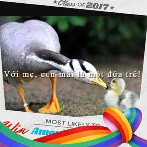 Meet your Posher, Thuy