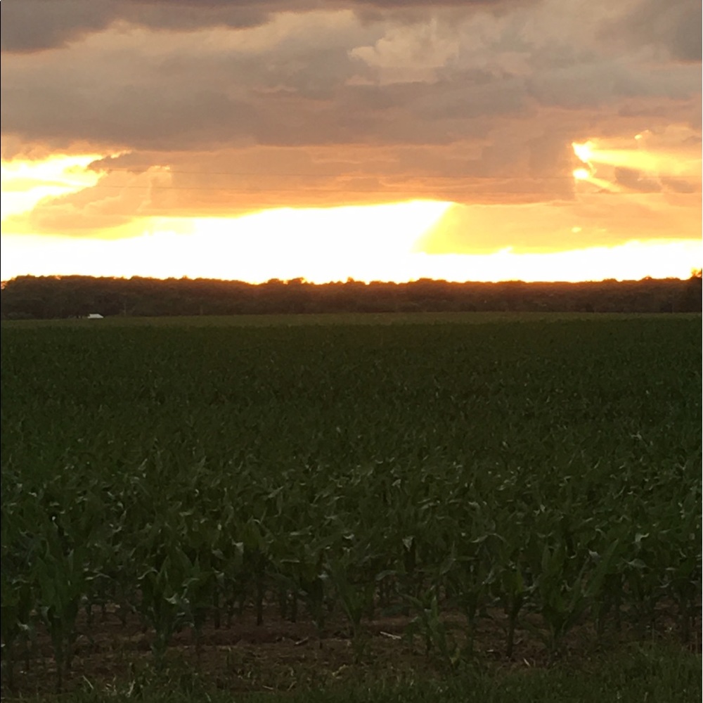 Meet your Posher, Josie