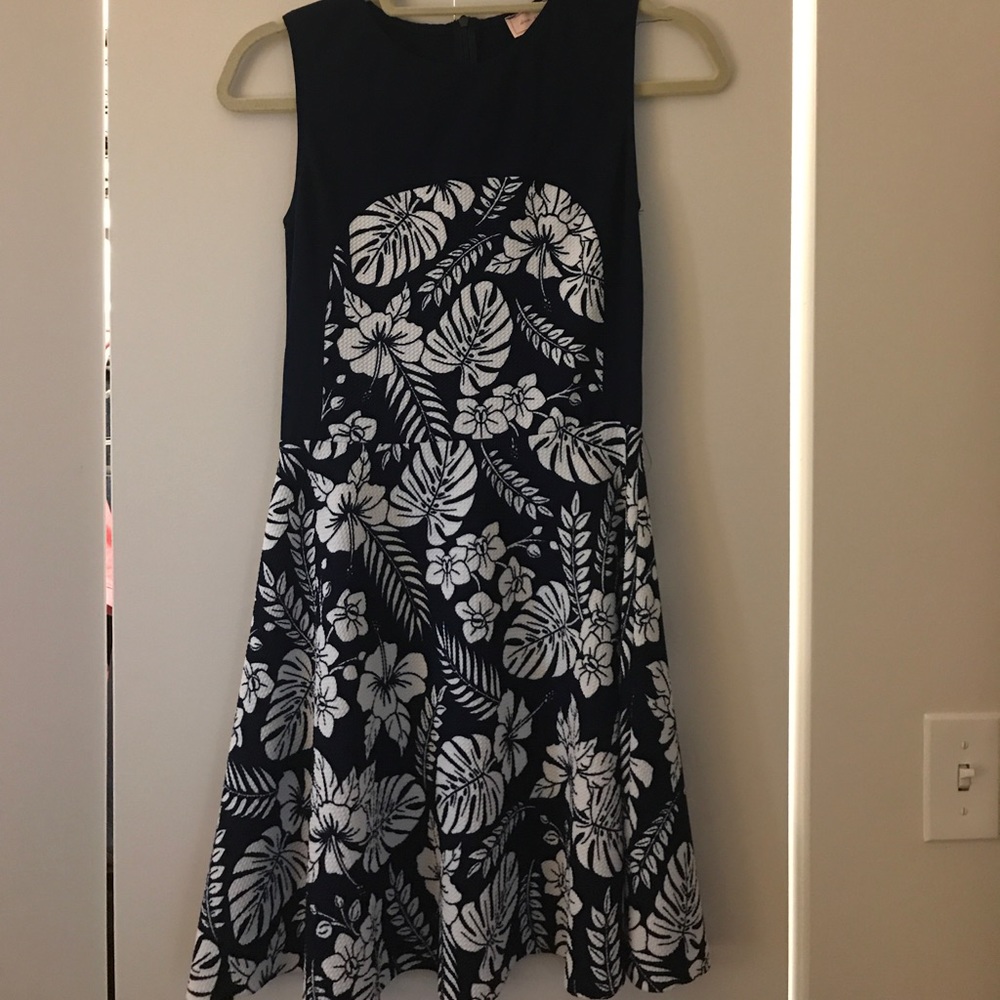 Blue And White Fit and Flare Dress