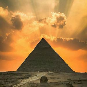 Meet your Posher, Thomas