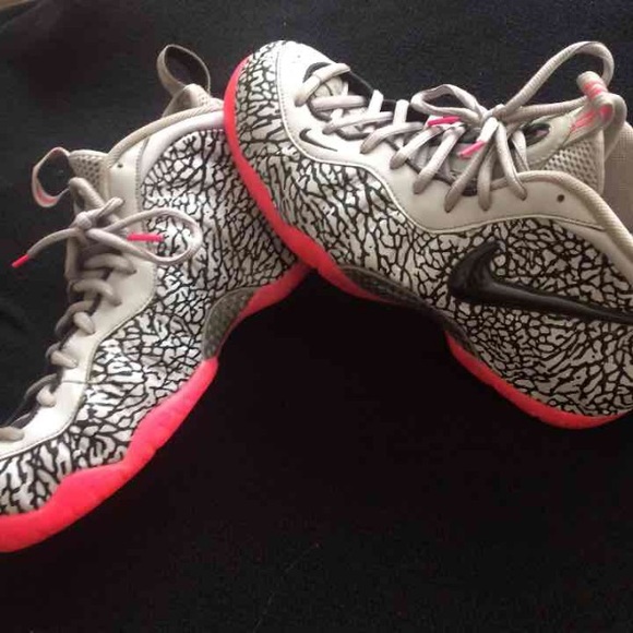 Nike Air Foamposite pro premium elephant cement