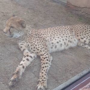 Meet your Posher, Emmanuel