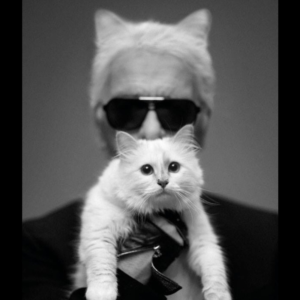 Super awesome 👏 low prices on small, xs & Petite