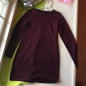 Zara beautiful bodycon in a purple/maroon color.