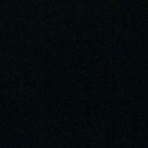 Meet your Posher, Joey