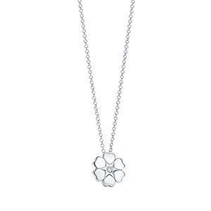Tiffany & Co. Necklace