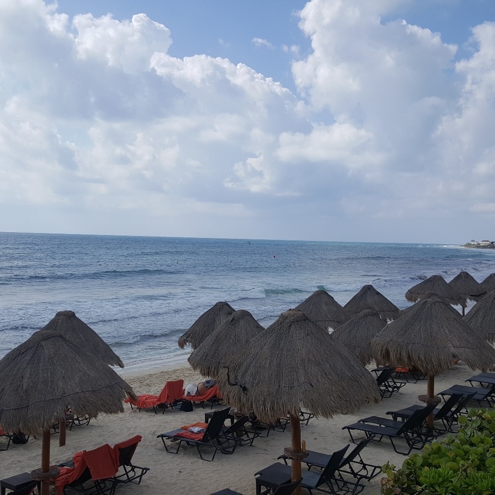 Meet your Posher, Nuzhat