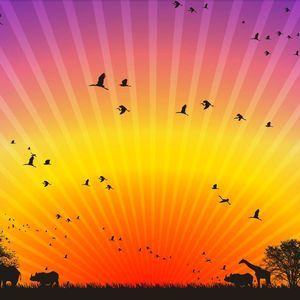 Meet your Posher, Penny