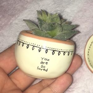 room decor plant for icollier98