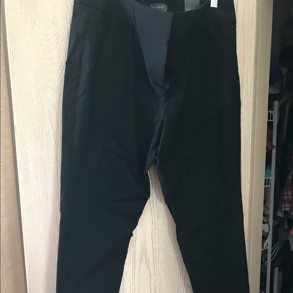 The Limited Exact Stretch Dress Pant