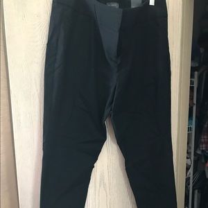 The Limited Exact Stretch Dress Pant