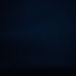 Meet your Posher, Bailey