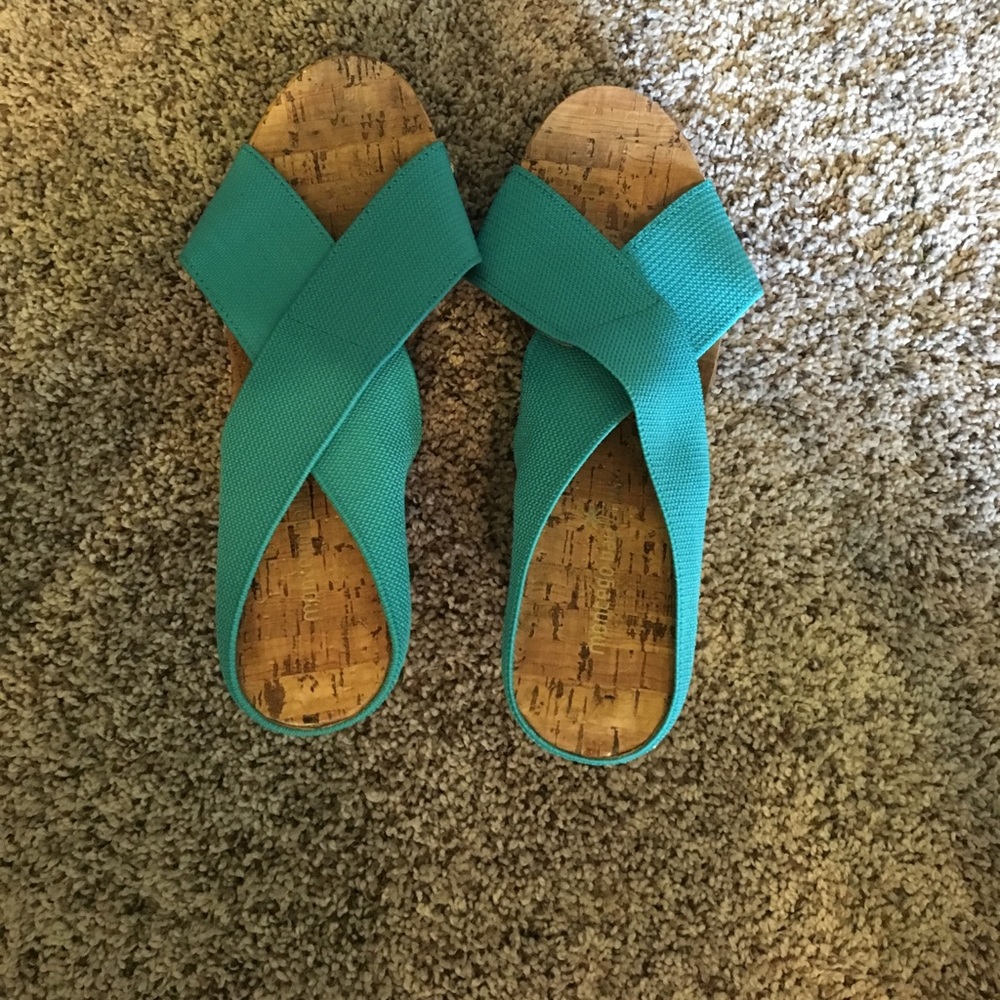 Blue Wedges