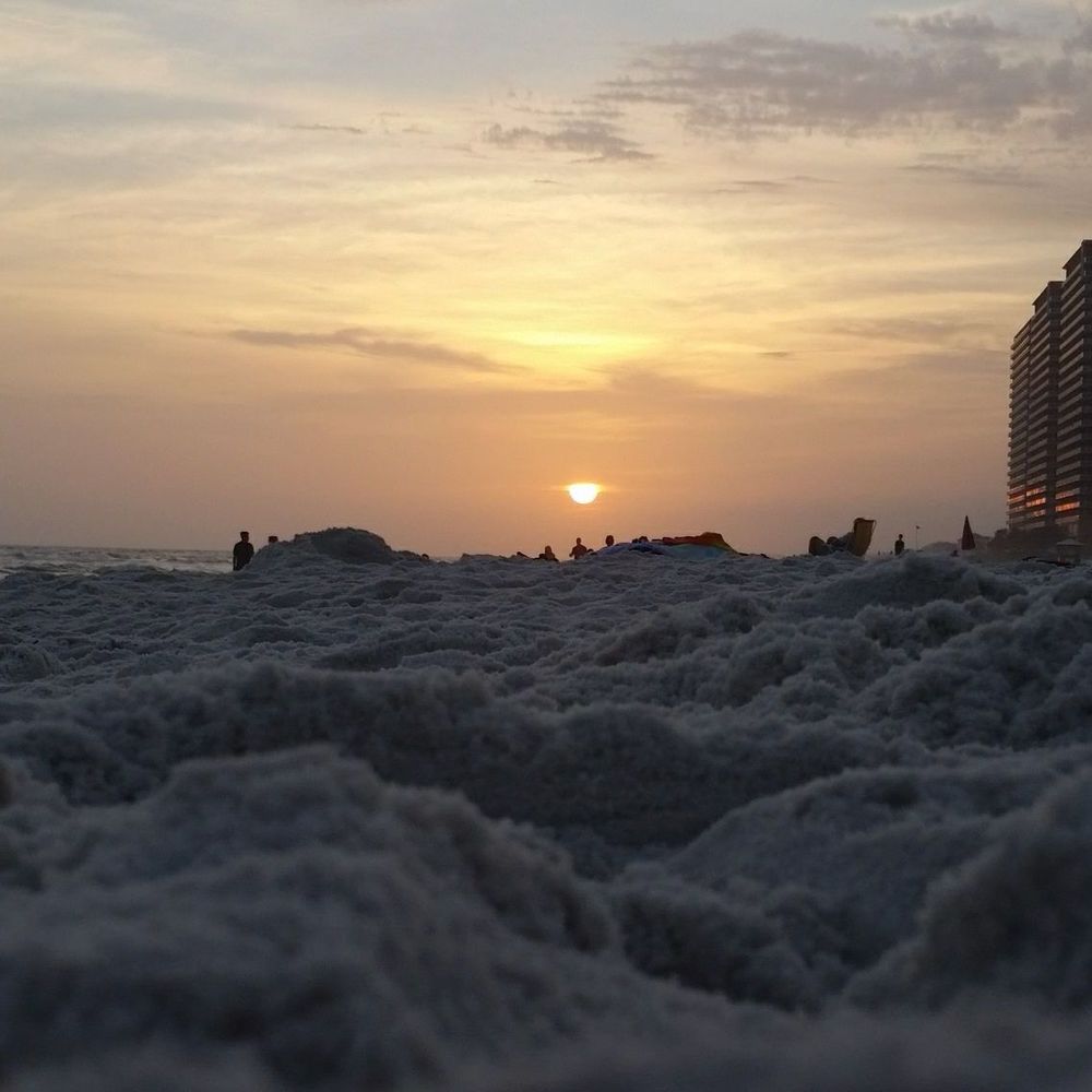 Meet your Posher, Ginny