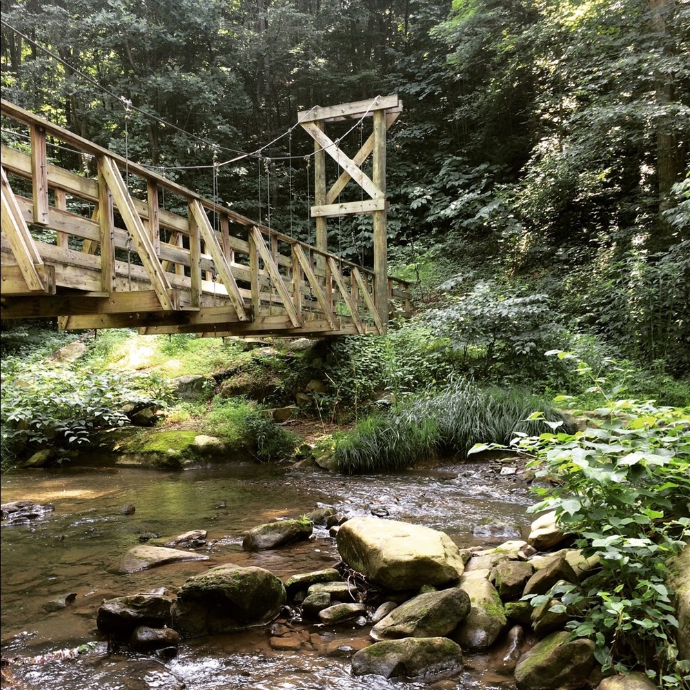 Meet your Posher, Jill