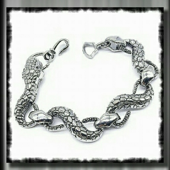 Other - Stainless Steel Punk Snake Bracelet