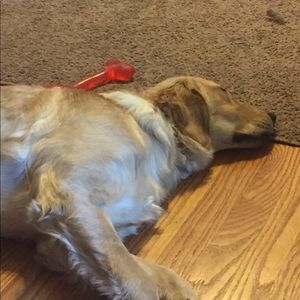 Meet your Posher, Michele