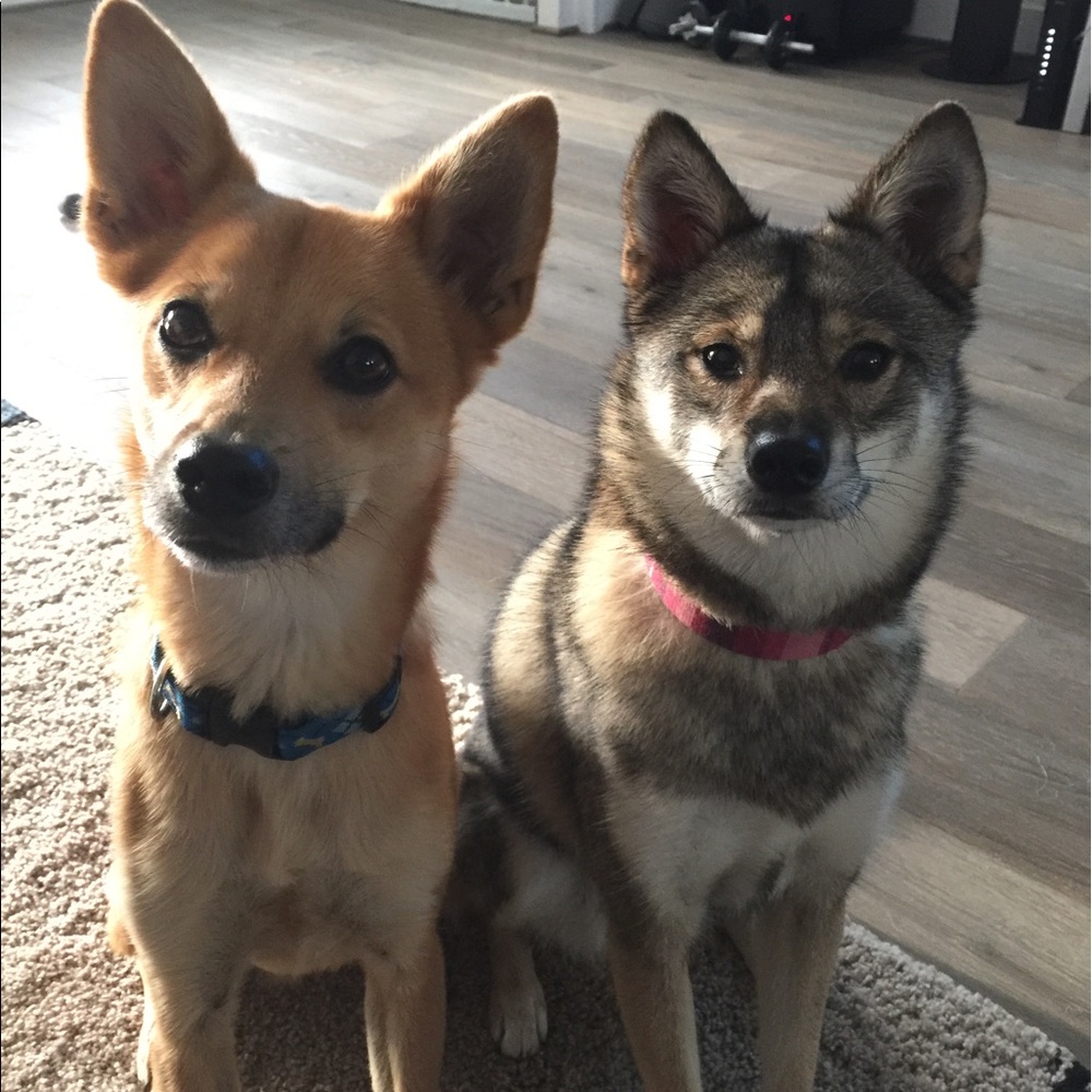 Meet your Posher, Poonam