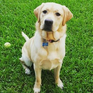 Meet your Posher, Eric