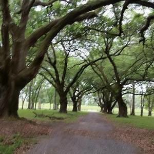 Meet your Posher, Frances