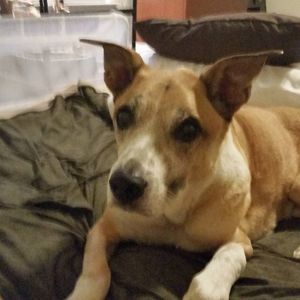 Meet your Posher, Krista