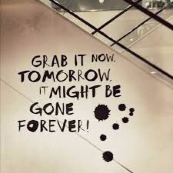 Meet your Posher, Teila - Picture 3 of 3