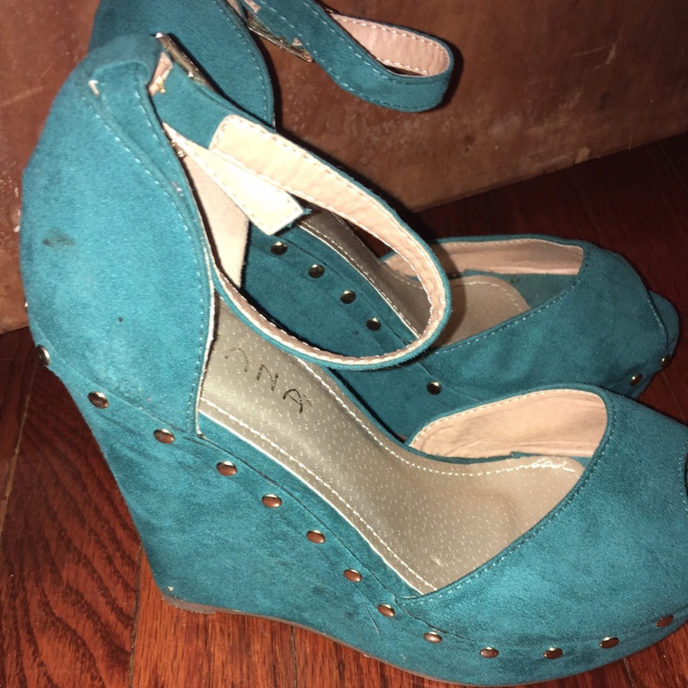 Teal color wedges