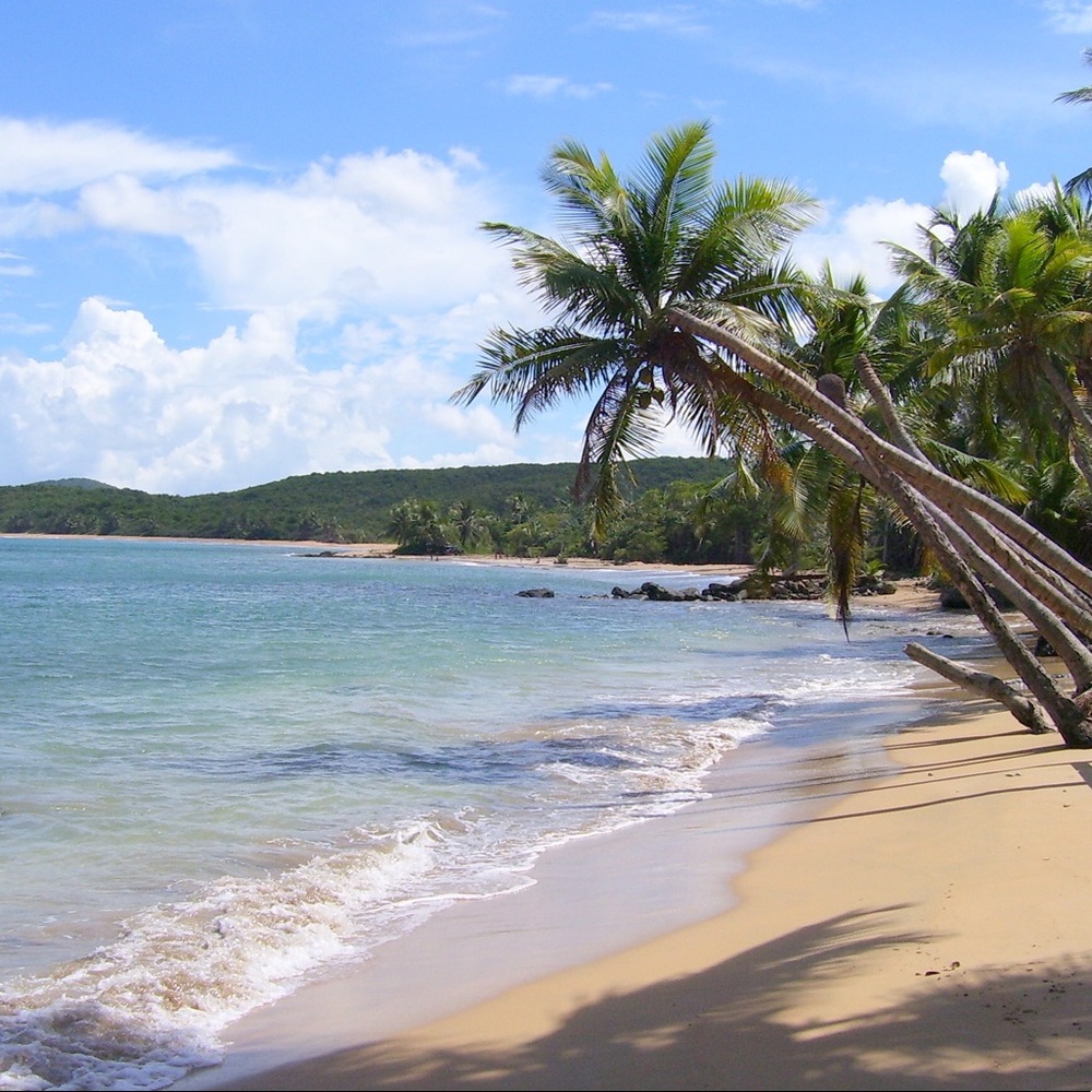 ATTENTION FOLLOWERS!