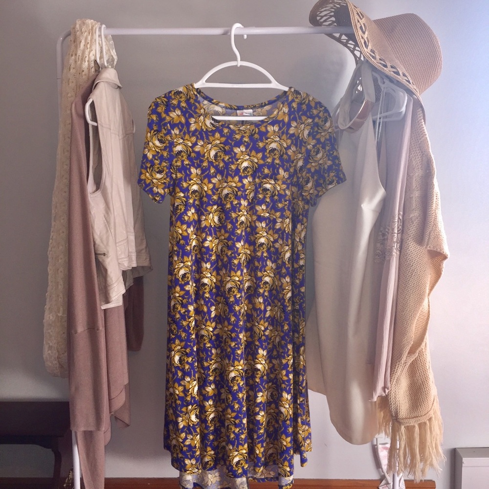 ❗️practically new❗️ Rare Lularoe Carly with pocket