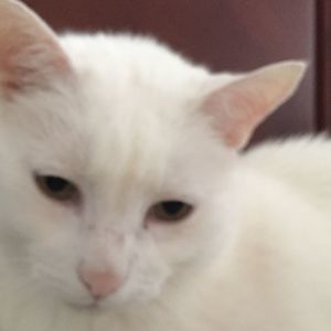 Meet your Posher, Bernadette