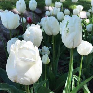 Meet your Posher, Brandy