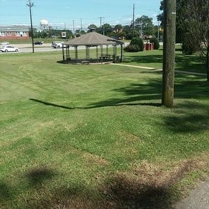 Meet your Posher, Willie