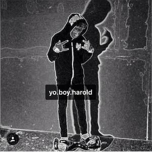 Meet your Posher, Harold