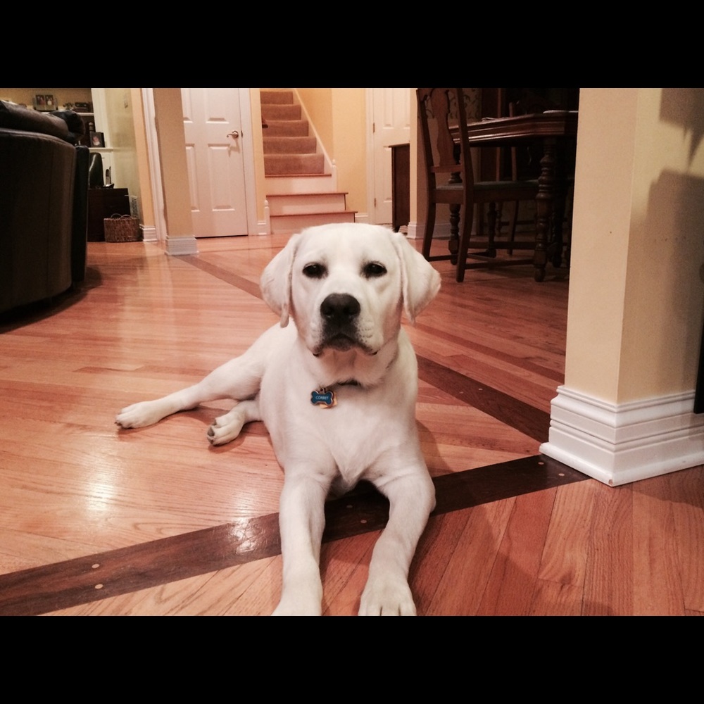 Meet your Posher, Shelly