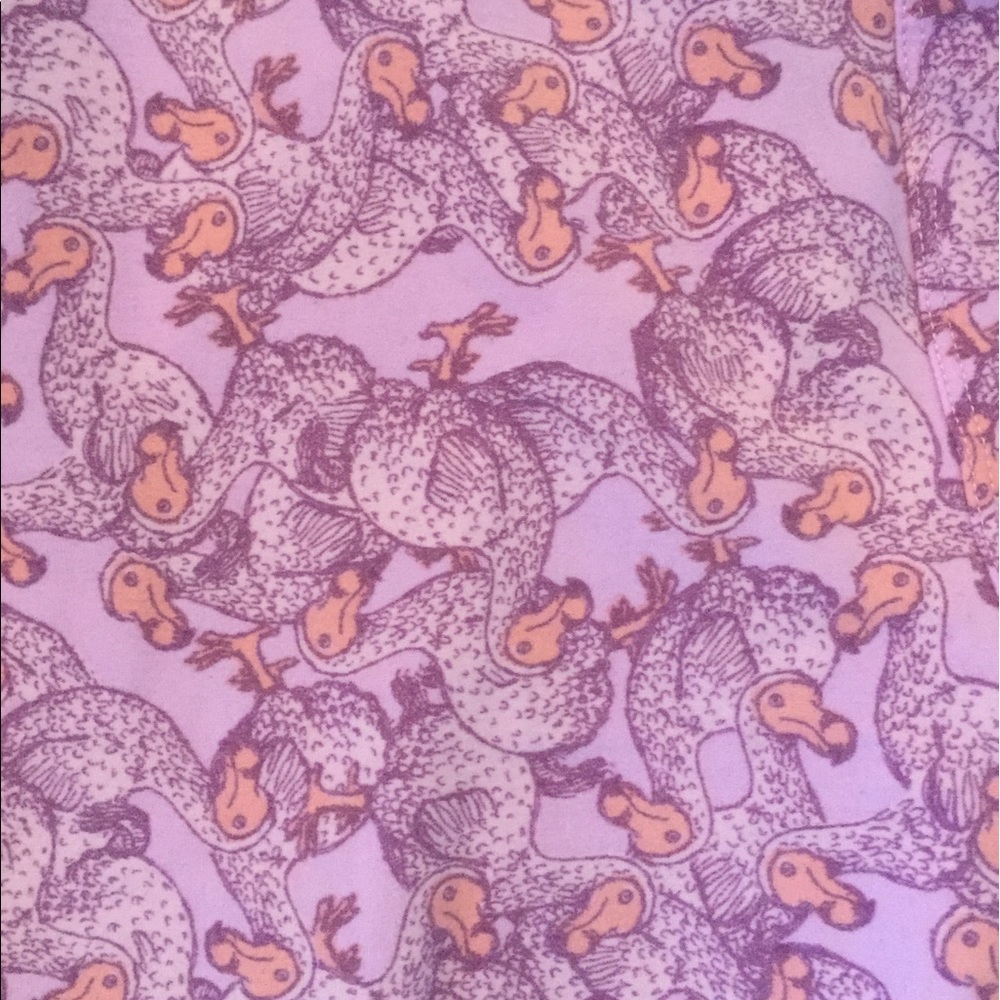 New LuLaRoe Dodo Leggings