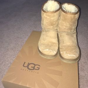 Classic UGG Short in Chestnut