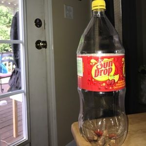 Soda bottle