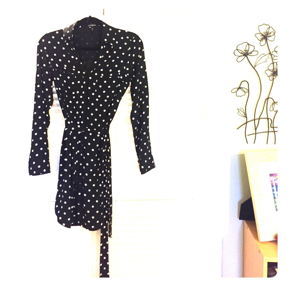 Express Shirtdress