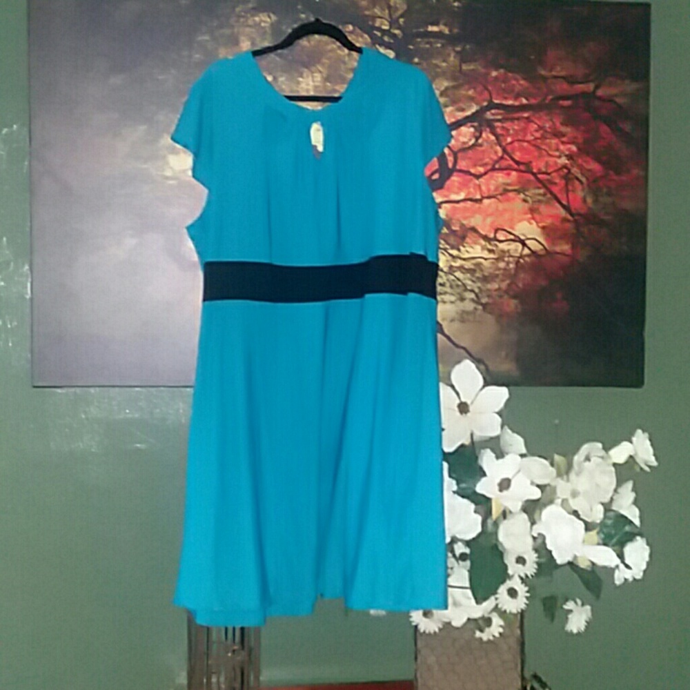 Women's 2x Dress