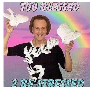 Meet your Posher, Charlotte