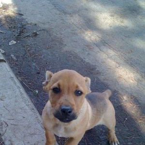 Meet your Posher, Angel